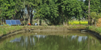 मत्स्य विकास केन्द्र