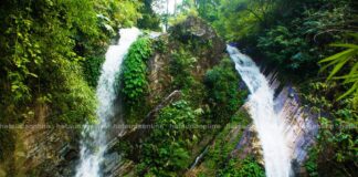 जोडि झरना, भिमफेदी