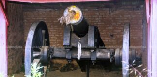 कालीतोप